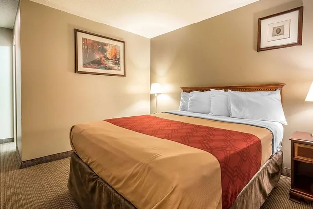 غرفة قياسية بسرير كوين، ECONO LODGE 1/4