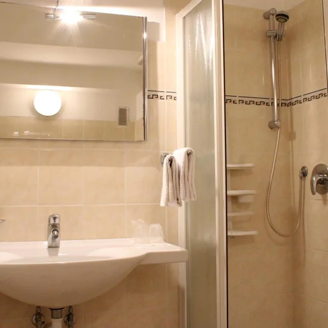 غرفة قياسية بسرير مزدوج أو سريرين منفصلين، Hotel Alexandra 8/10