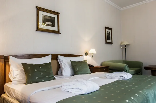 Deluxe, King Bed, Castle View، Hotel Dvorak 2/5