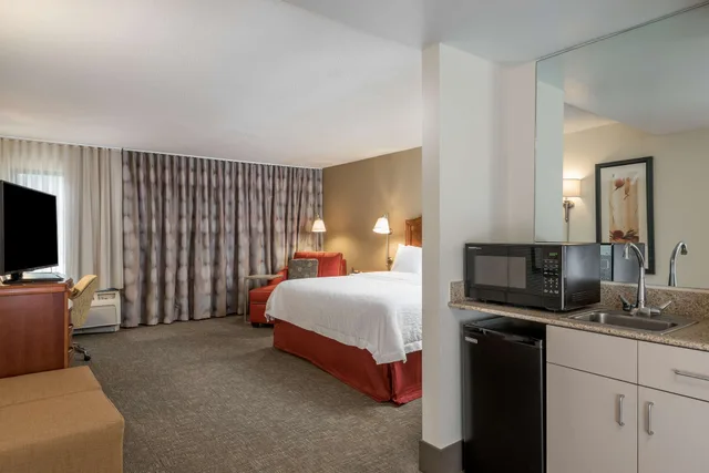 Deluxe, King Bed, Sofa, Hampton Inn Roanoke/Hollins - I-81 3/7