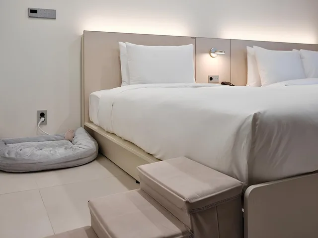 غرفة بريميير عائلية بسريرين منفصلين وسرير مزدوج وسرير فردي يُسمح فيها بالحيوانات الأليفة، Hotel The Botanik Sewoon Myeongdong 6/6