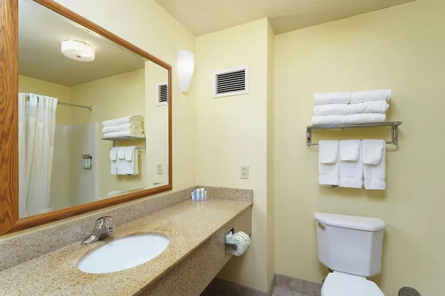غرفة بسرير كينج مع أريكة، Triple Play Resort Hotel Suites 3/3