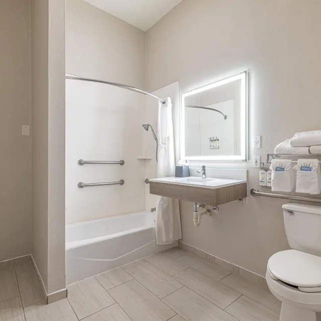 غرفة قياسية بسرير كينج بحوض استحمام لذوي الإعاقة، Holiday Inn Express Hotel Suites College Station 2/3