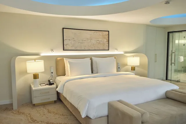 جناح تنفيذي، Almaty Hotel 1/6