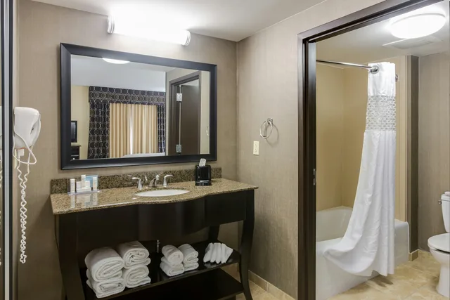 استوديو بسرير كينج مع أريكة، Hampton Inn & Suites Mt. Juliet 1/2