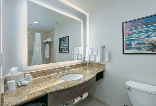 غرفة بسريرين كوين لذوي الإعاقة، Hilton Garden Inn Dallas/Arlington 6/7