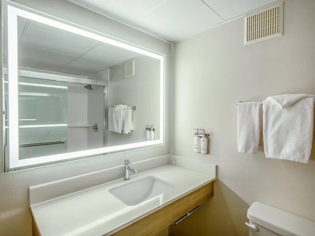 غرفة قياسية بسرير كينج، Holiday Inn Express & Suites Greensboro - (I-40 @ Wendover) 5/5