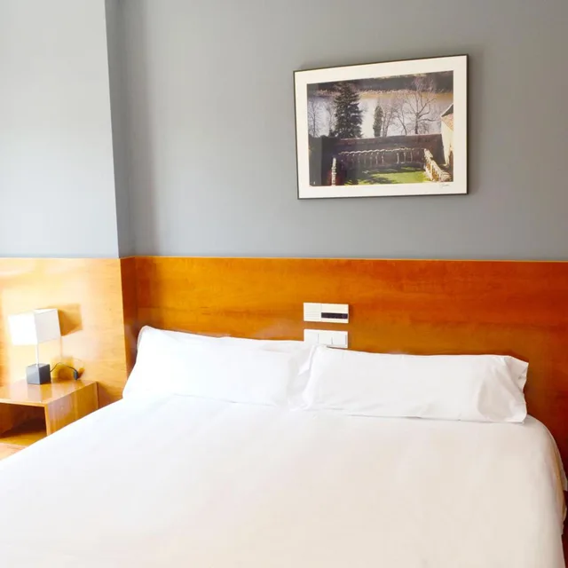 Standard, Double or Twin Bed, Hotel Alda Ciudad de Soria 5/9