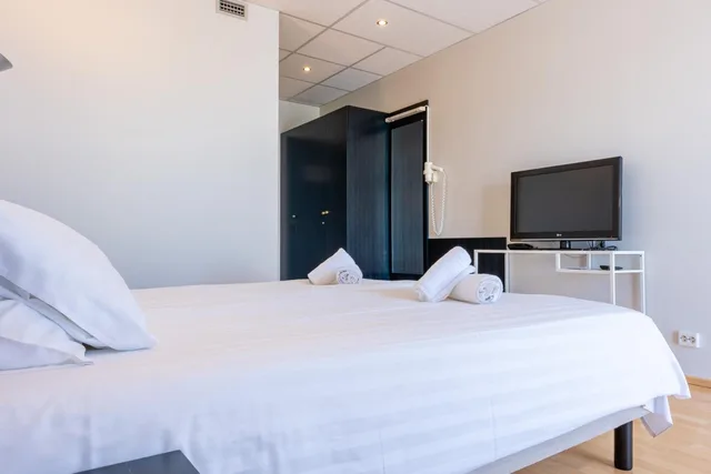 Standard, Double or Twin Bed, Meri Spa Hotel 5/8