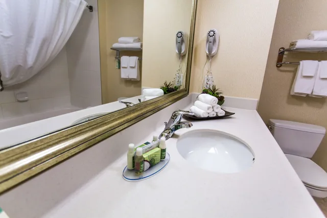 جناح بسرير كينج، Days Inn Suites By Wyndham Edmonton Airport 3/3