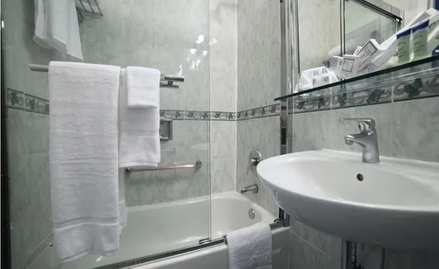 غرفة داخلية بسرير كوين بإطلالة، The Congress Plaza Hotel 6/6