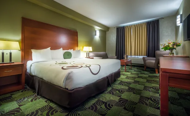 غرفة قياسية بسرير كينج مع أريكة، Deerfoot Inn Casino 4/7
