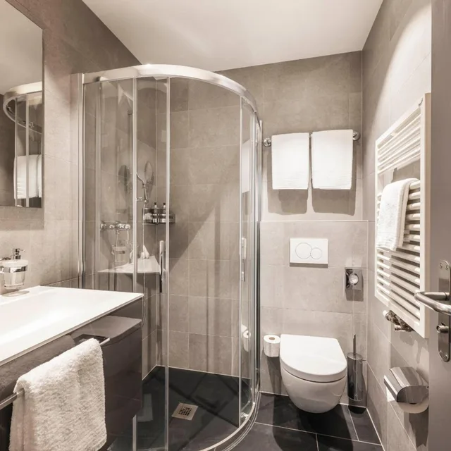 Panorama, Deluxe, Double or Twin Bed, Lake View, Balcony، Hotel Belvedere Locarno 8/8