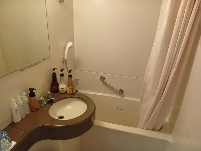 غرفة مفردة، Izu Imaihama Tokyu Hotel 7/7