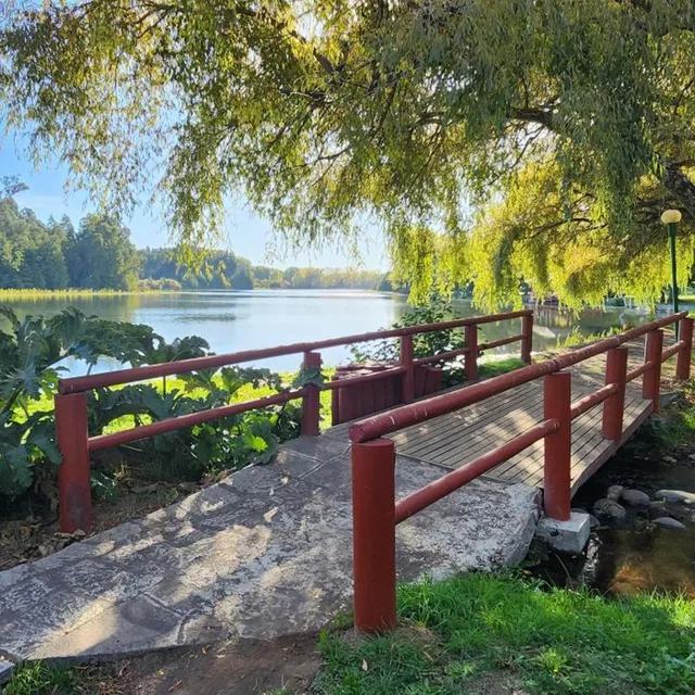 Hotel y Cabanas Las Mellizas - Caja Los Andes، Los Angeles 35/41