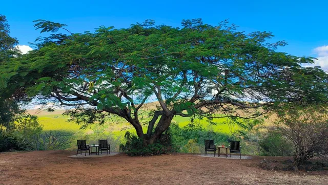 Abangane Guest Lodge، Hlanganani 49/58