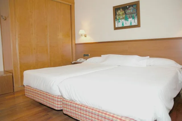 غرفة سوبيريور بسرير مزدوج، Hotel Candanchu 5/10