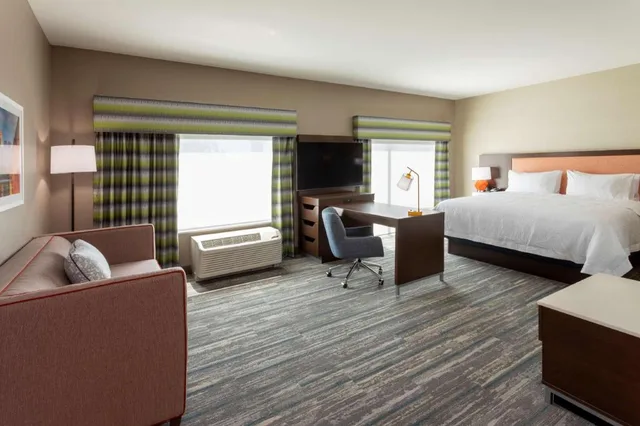 Studio, Suite, King Bed, Water View, Accessible، Hampton Inn Eden Prairie Minneapolis Mn 1/4