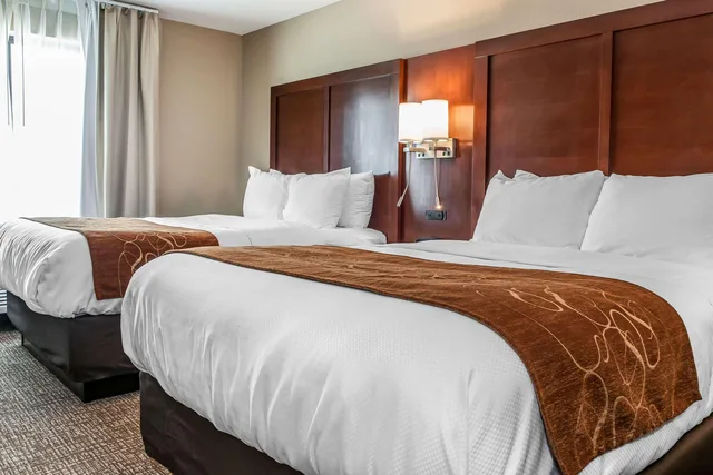 غرفة بسريرين كوين، Comfort Suites Rensselaer Near Fair Oaks 5/6