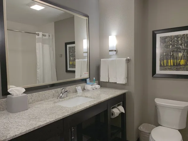 جناح بسرير كينج بغرفة نوم واحدة مع أريكة، Holiday Inn Express Suites Madison Central 1/1
