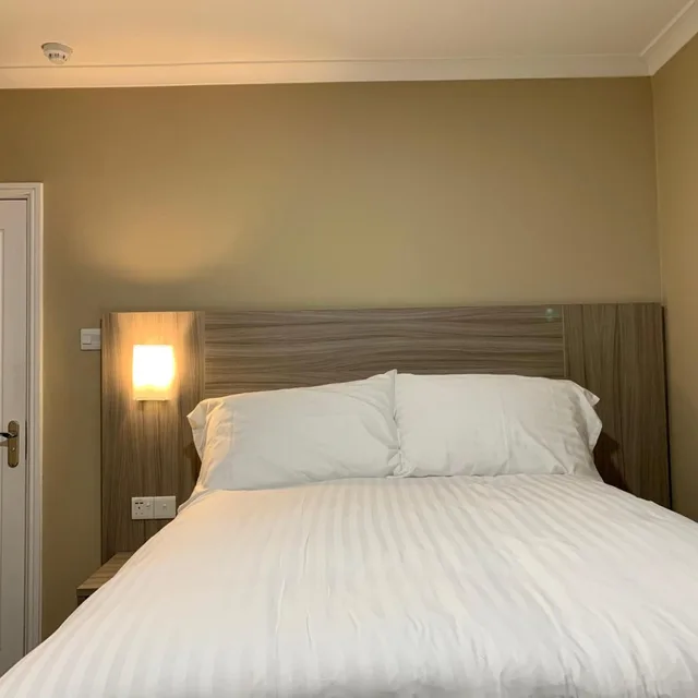 غرفة قياسية بسرير مزدوج، De Regency Style Hotel 4/8