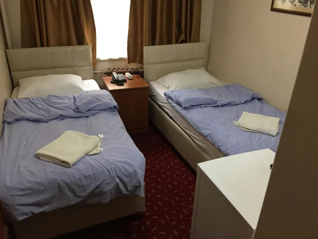 غرفة بسريرين منفصلين، Istanbul Paris Hotel And Hostel 2/8