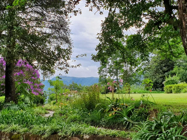 Lind End Guest Farm، Tzaneen 18/29
