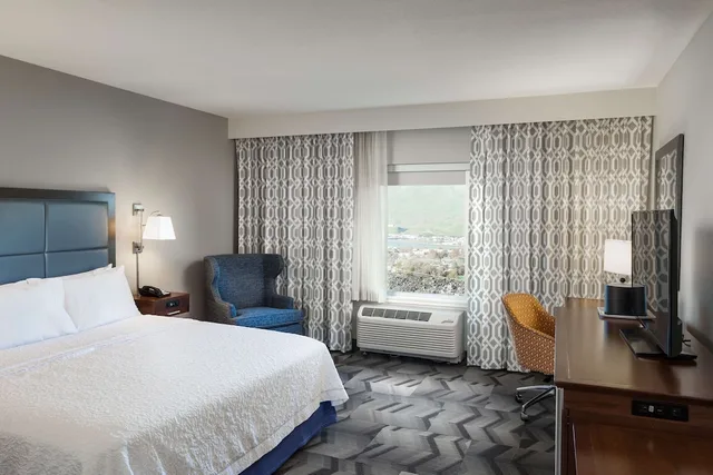 غرفة بسرير كينج، Hampton Inn Lewiston ID 1/3