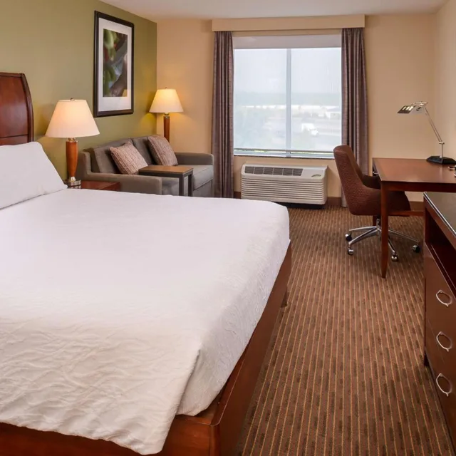 غرفة بسرير كينج بحوض استحمام لذوي الإعاقة، Hilton Garden Inn Baltimore/White Marsh 1/4