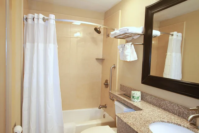 Executive, Suite, King Bed, Sofa, Hot Tub, Travel Inn and Suites Flemington 7/9