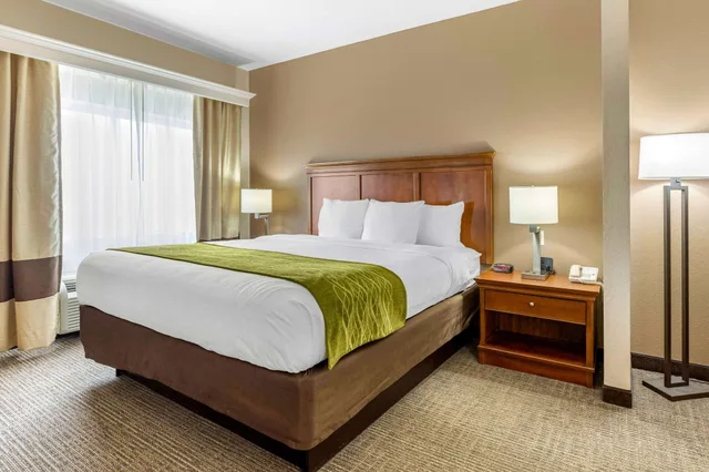 جناح بسرير كينج مع أريكة، Comfort Inn and Suites Davenport Quad Cities 2/7
