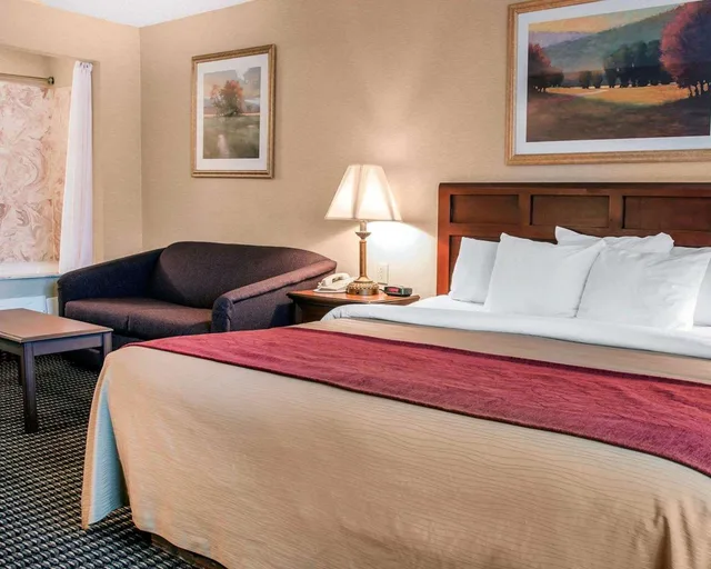 Upgrade, King Bed، Wingate by Wyndham Livonia 1/3