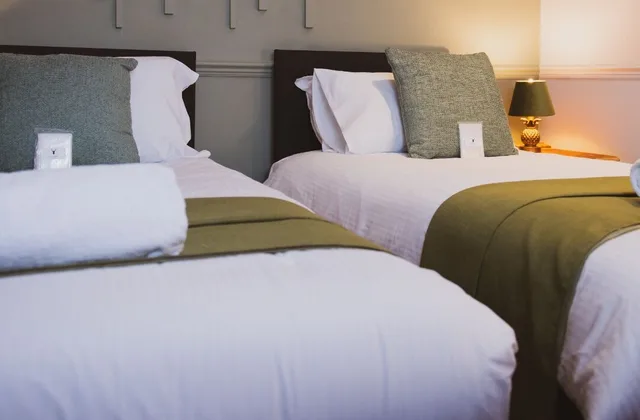 غرفة قياسية بسريرين منفصلين، The Stag Hotel 8/10