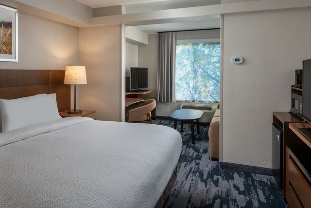 استوديو بسرير كينج مع أريكة، Fairfield Inn & Suites Memphis Germantown 1/4
