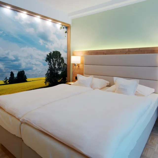 Room, Double Bed, Lake Side، Bio Seehotel Zeulenroda 2/8