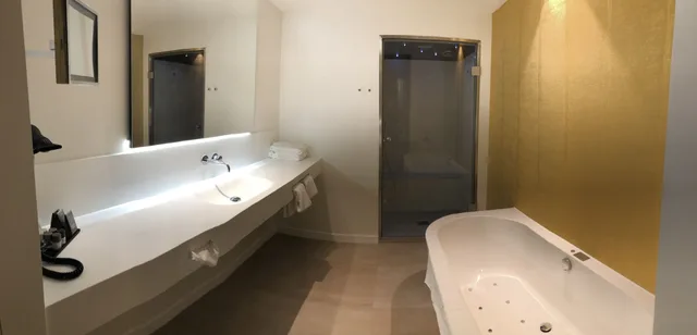غرفة ديلوكس بسرير مزدوج، Van der Valk Hotel Maastricht 8/9