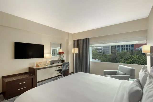 Standard, King Bed, Hotel Novit 2/6