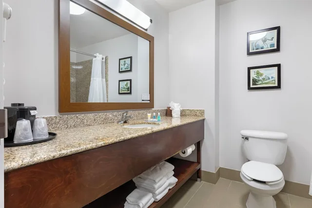 Room, 2 Queen Beds, Sofa, Comfort Suites Dfw N Grapevine 7/7