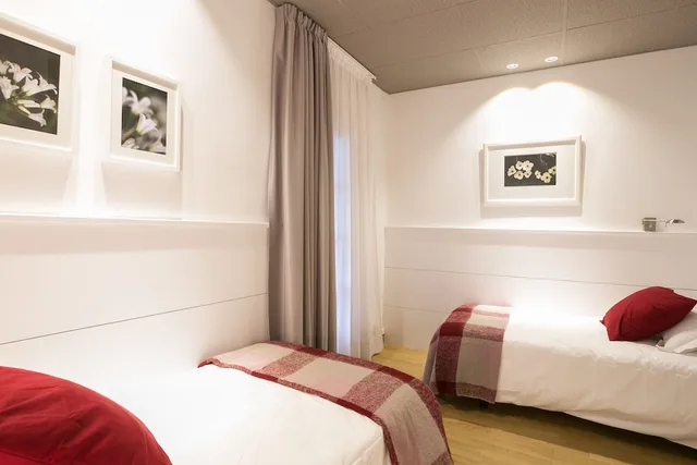 شقة كومفورت بستة أسرّة بـ4 غرف نوم مع أريكة، Serennia Apartments Ramblas-Pl.Catalunya 3/9