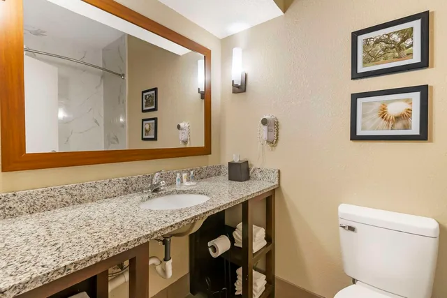 Suite, King Bed, Comfort Suites At The University 2/2