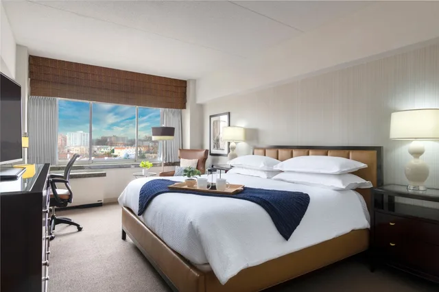 جناح بغرفة نوم واحدة، The Stamford Hotel 1/2