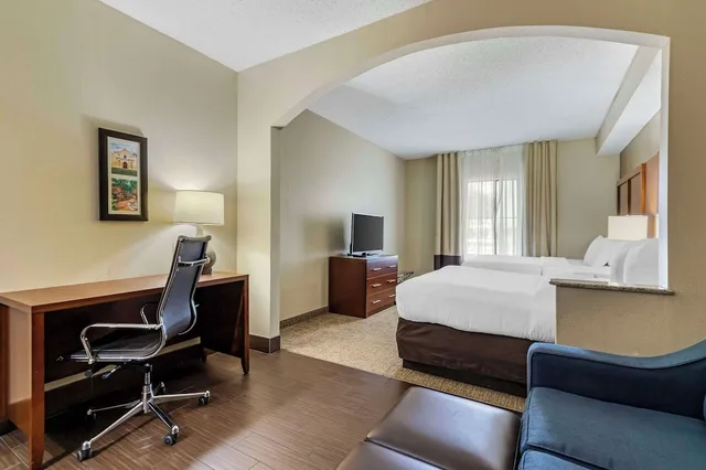 جناح استوديو بسريرين كوين مع أريكة، Comfort Inn and Suites Seguin, TX 3/6