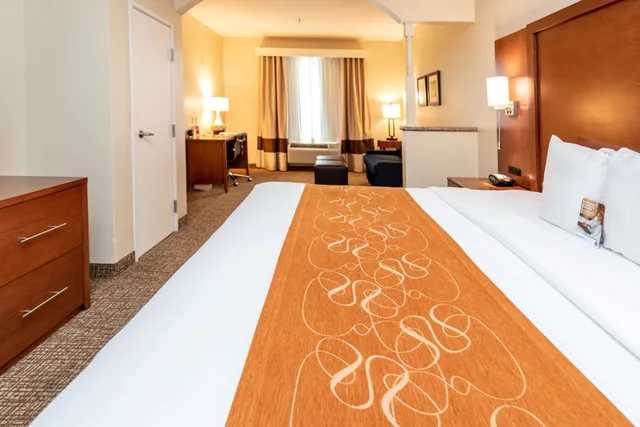 جناح بسرير كينج مع أريكة، Comfort Suites Houston near Medical Center- NRG Stadium 1/4