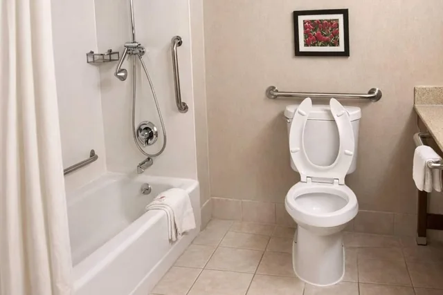 جناح بسرير كوين مع أريكة لذوي الإعاقة، Comfort Inn Farmington Hills - Detroit Northwest 5/5