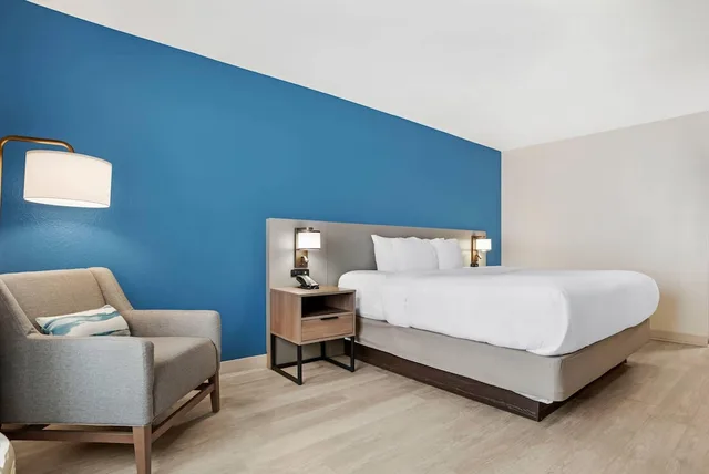 غرفة بسرير كينج لذوي الإعاقة، Comfort Inn & Suites Dothan Northside Plaza 6/10
