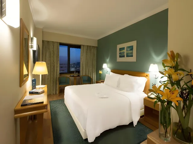 غرفة مفردة، SANA METROPOLITAN HOTEL 1/1