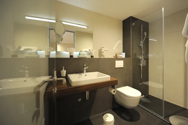 غرفة قياسية، Hotel du Nord Interlaken 3/3