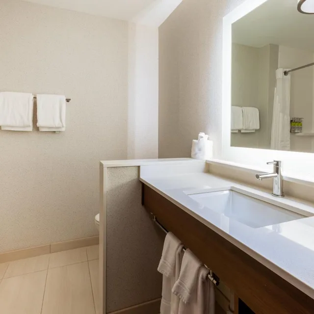 جناح بسريرين منفصلين لذوي الإعاقة، Holiday Inn Express & Suites Brunswick - Harpers Ferry Area, an IHG Hotel 9/10