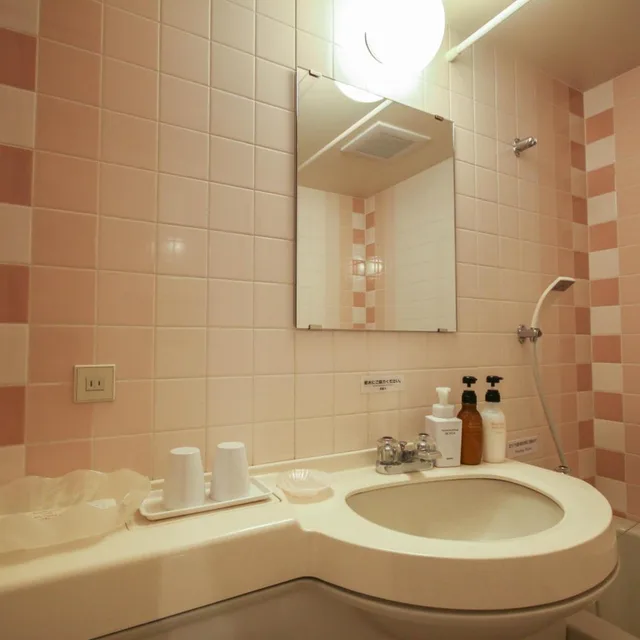 Room, Hotel Green Plaza Hakuba 3/3