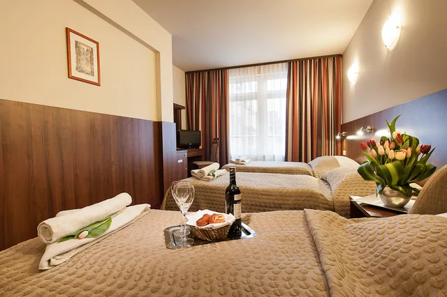 غرفة ثلاثية بزنس، Hotel Alexander 1/1
